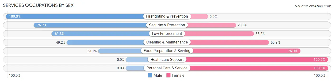 Services Occupations by Sex in Bridge City