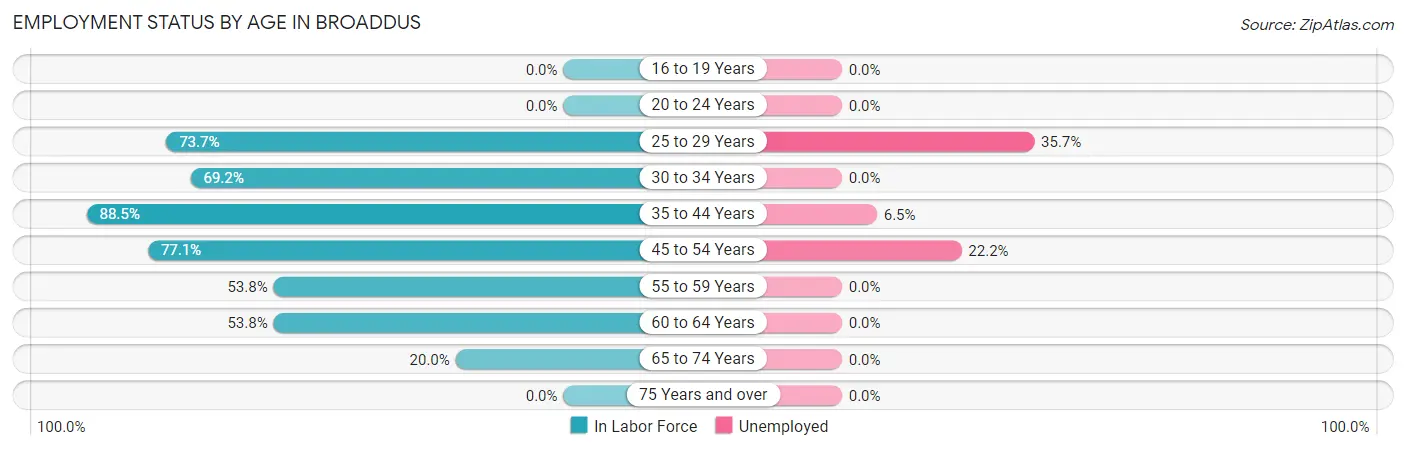 Employment Status by Age in Broaddus