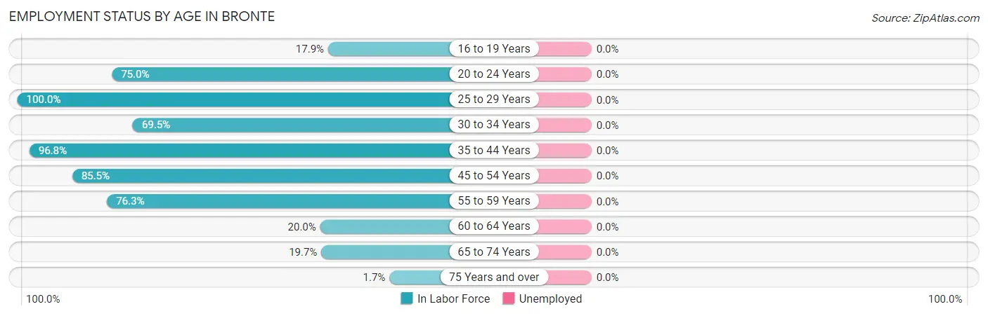 Employment Status by Age in Bronte