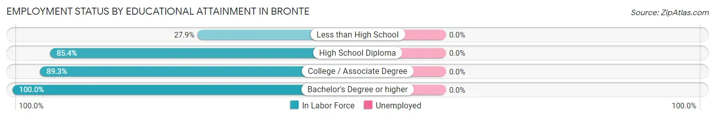Employment Status by Educational Attainment in Bronte