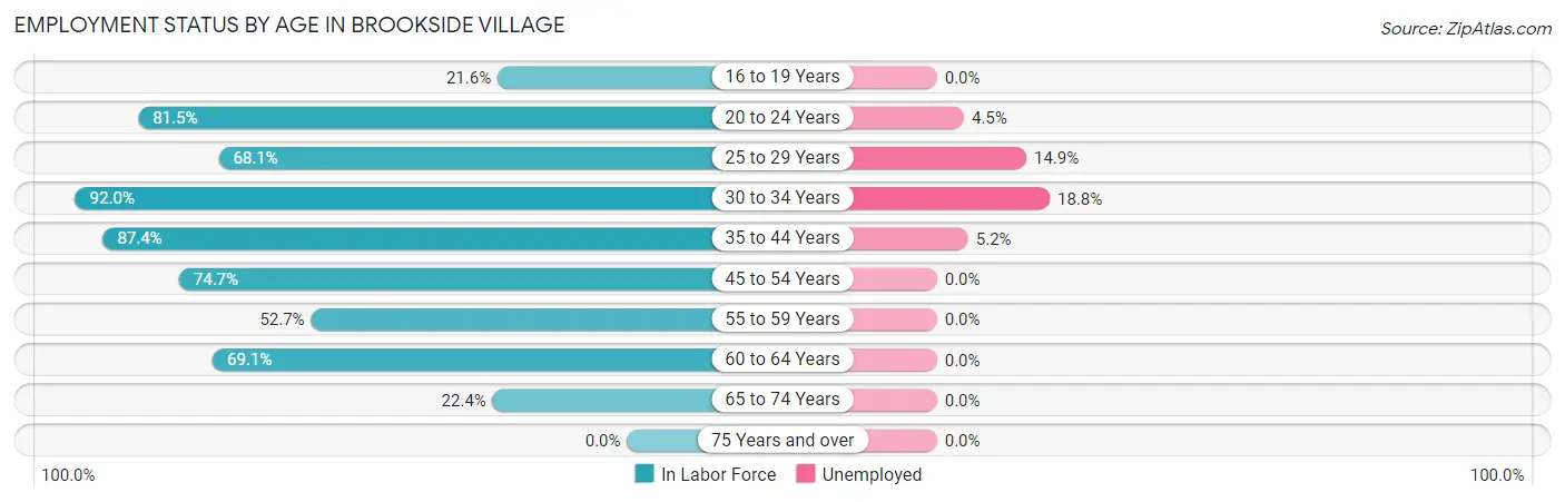Employment Status by Age in Brookside Village