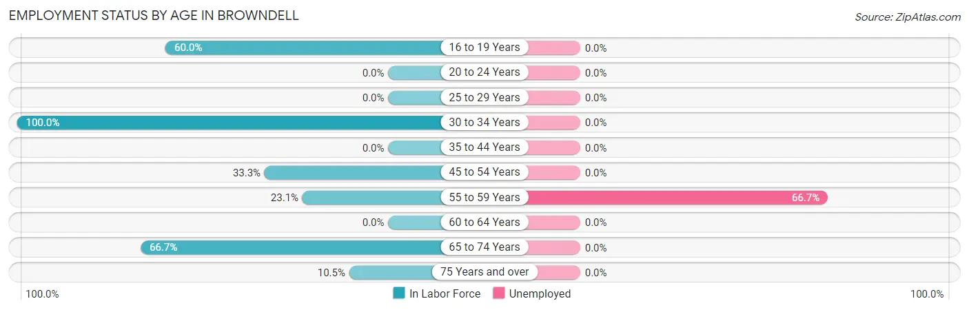 Employment Status by Age in Browndell