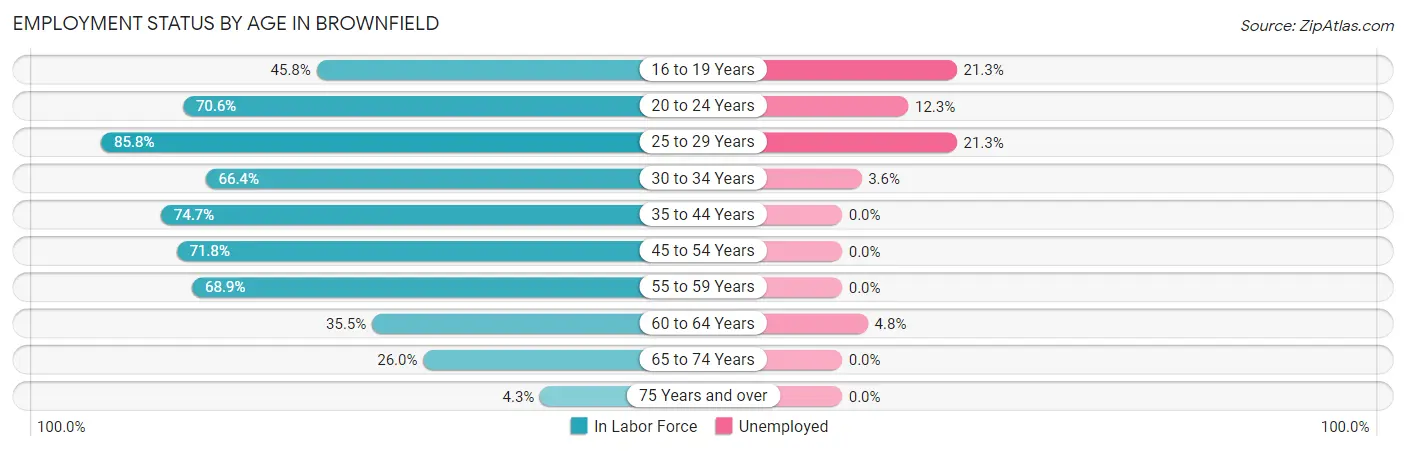 Employment Status by Age in Brownfield