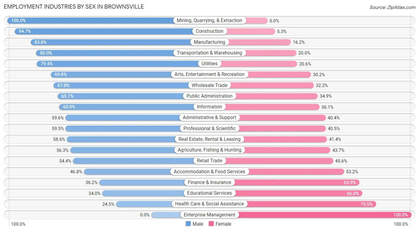 Employment Industries by Sex in Brownsville