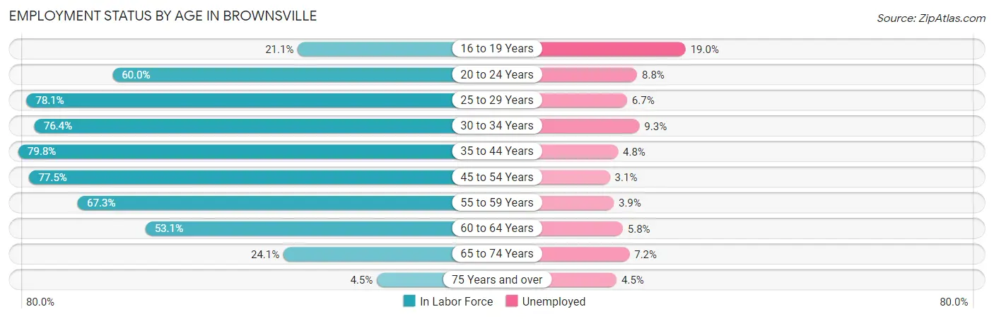 Employment Status by Age in Brownsville