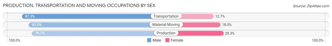 Production, Transportation and Moving Occupations by Sex in Brownsville