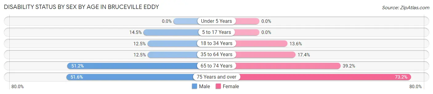 Disability Status by Sex by Age in Bruceville Eddy