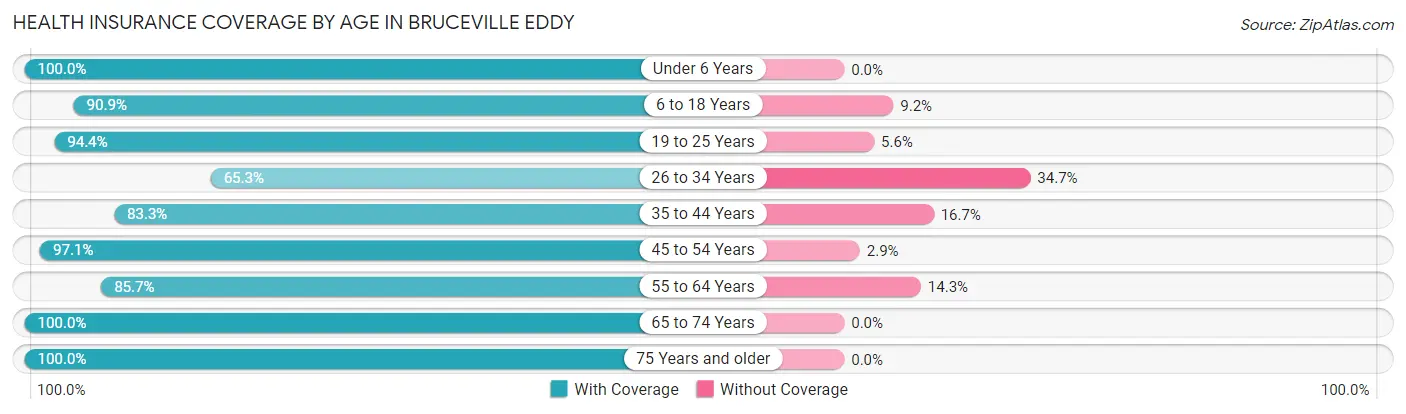 Health Insurance Coverage by Age in Bruceville Eddy