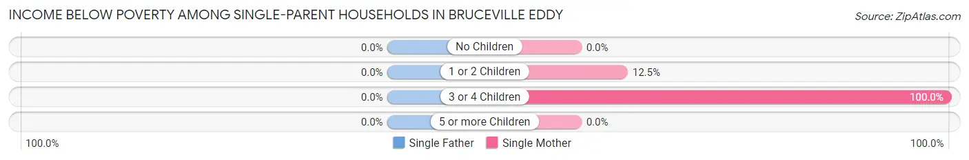 Income Below Poverty Among Single-Parent Households in Bruceville Eddy