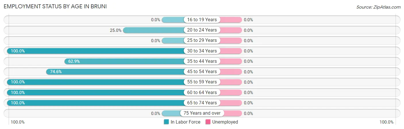 Employment Status by Age in Bruni