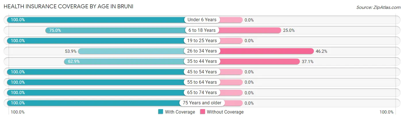 Health Insurance Coverage by Age in Bruni