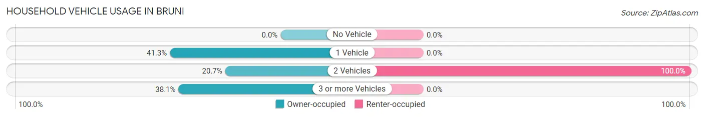 Household Vehicle Usage in Bruni