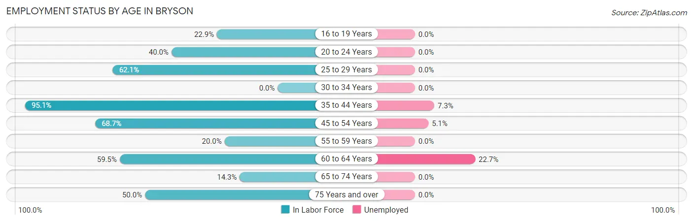 Employment Status by Age in Bryson