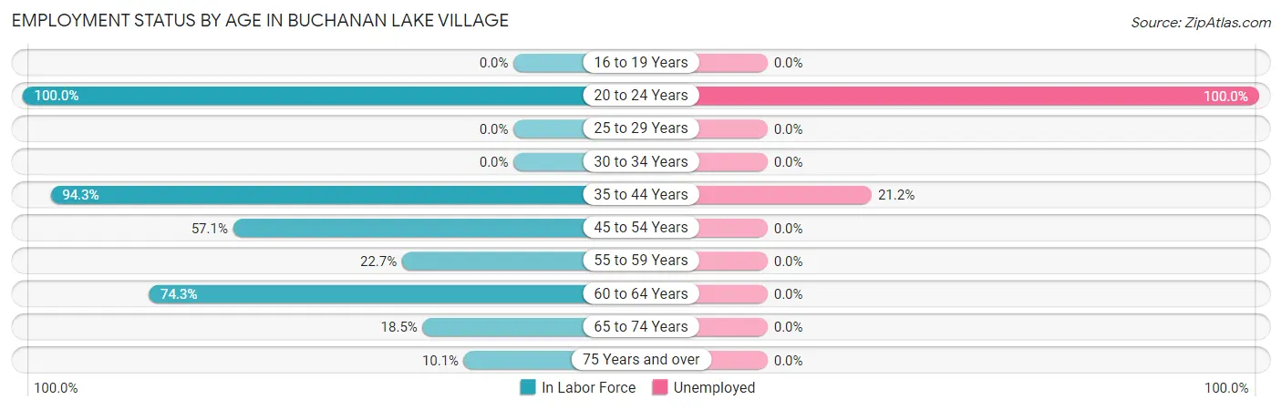 Employment Status by Age in Buchanan Lake Village