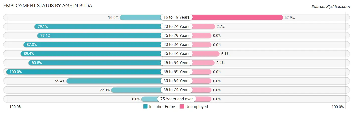 Employment Status by Age in Buda