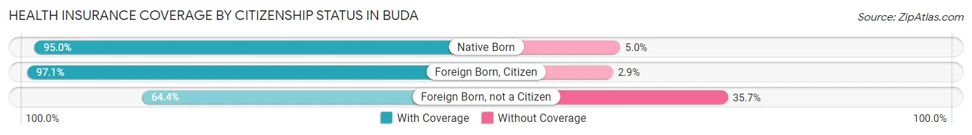Health Insurance Coverage by Citizenship Status in Buda