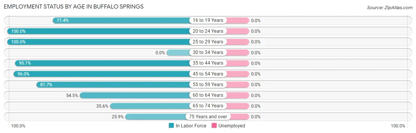 Employment Status by Age in Buffalo Springs