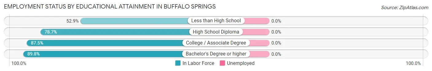 Employment Status by Educational Attainment in Buffalo Springs