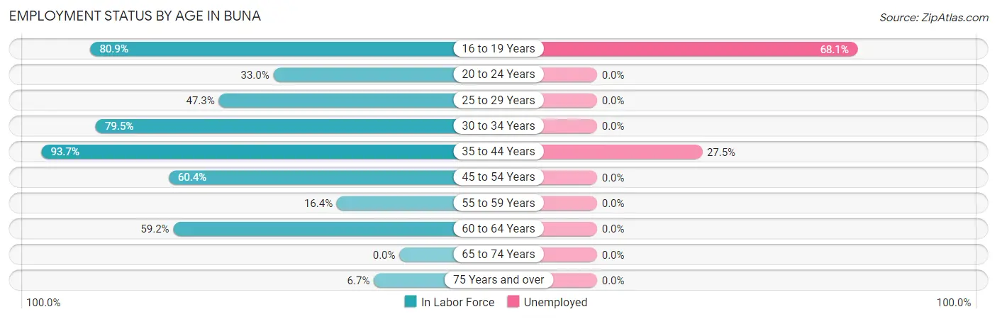 Employment Status by Age in Buna