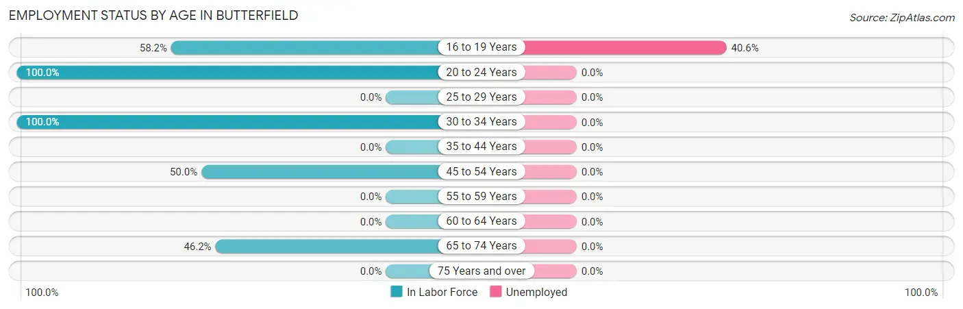 Employment Status by Age in Butterfield