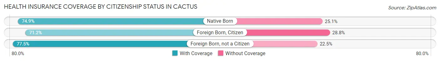 Health Insurance Coverage by Citizenship Status in Cactus