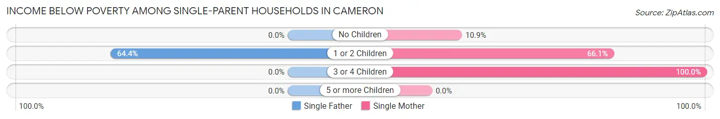 Income Below Poverty Among Single-Parent Households in Cameron