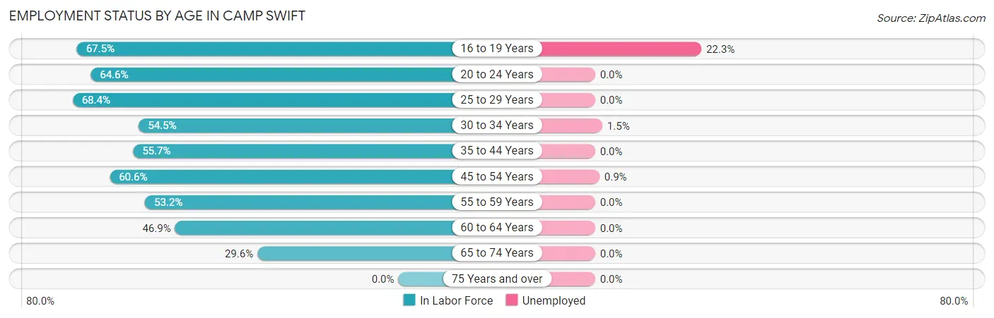Employment Status by Age in Camp Swift