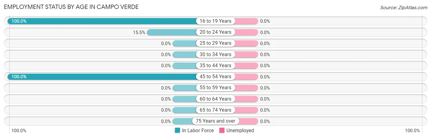 Employment Status by Age in Campo Verde