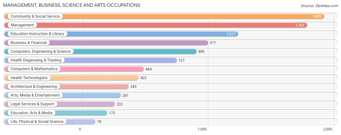 Management, Business, Science and Arts Occupations in Canyon Lake