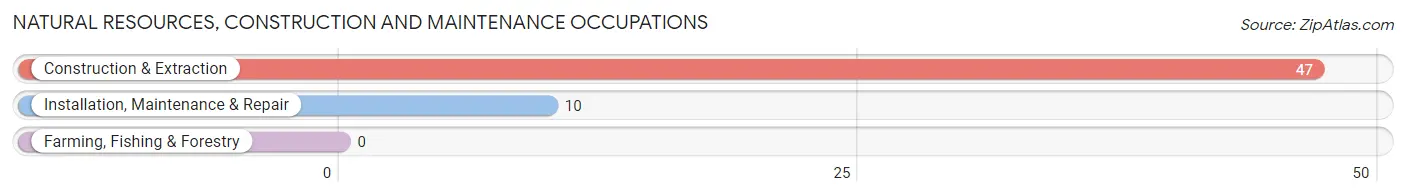 Natural Resources, Construction and Maintenance Occupations in Cape Royale