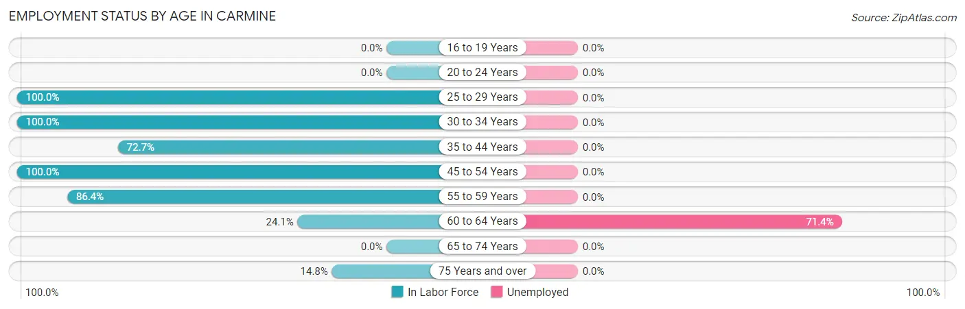 Employment Status by Age in Carmine