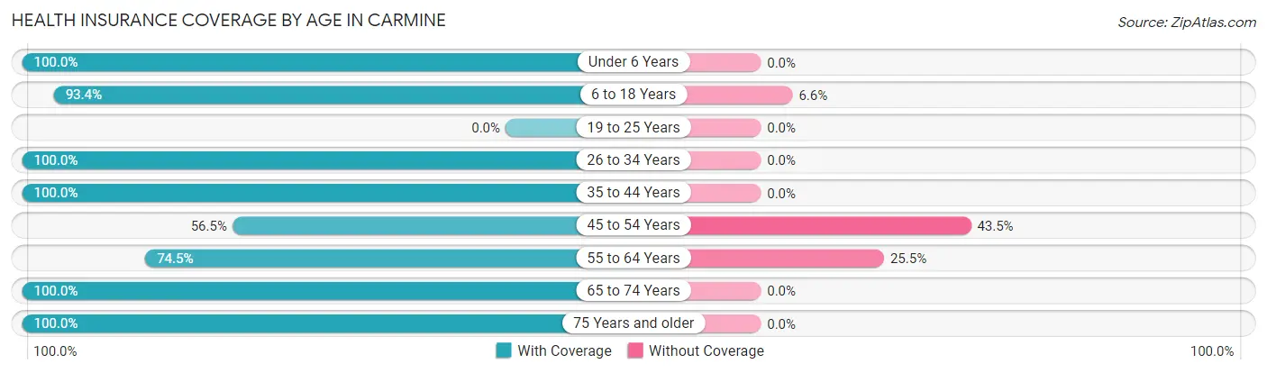 Health Insurance Coverage by Age in Carmine