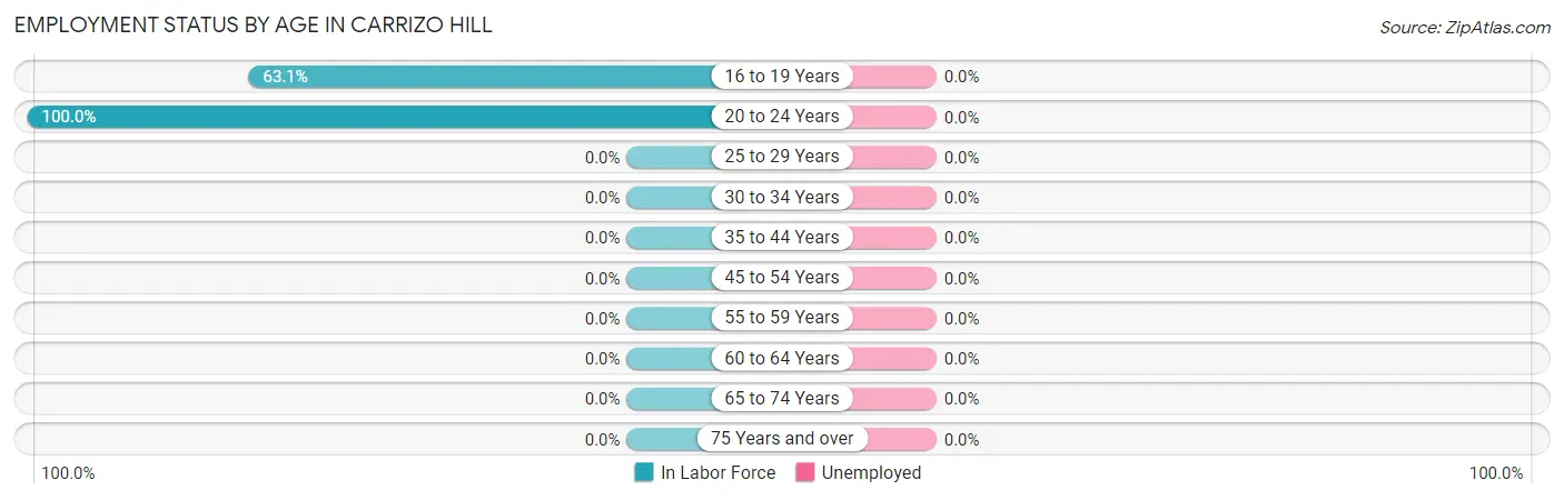 Employment Status by Age in Carrizo Hill