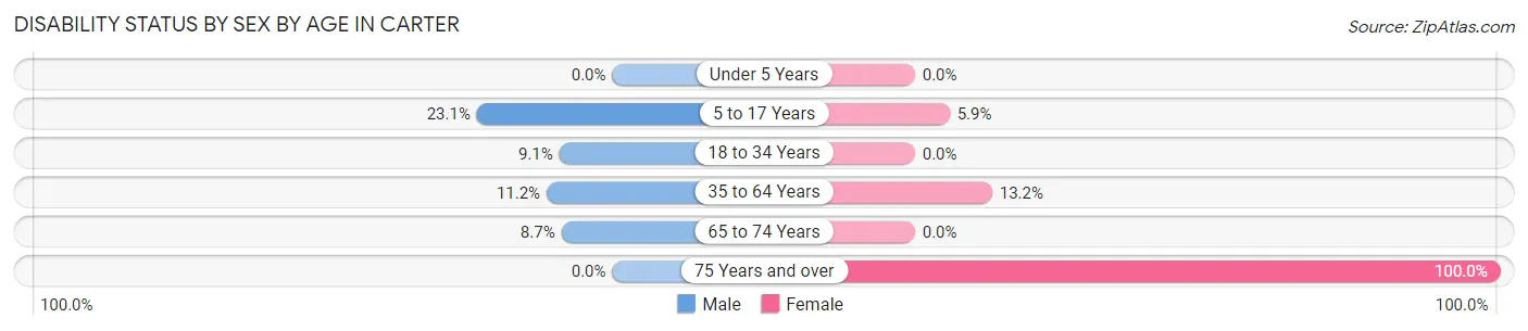 Disability Status by Sex by Age in Carter