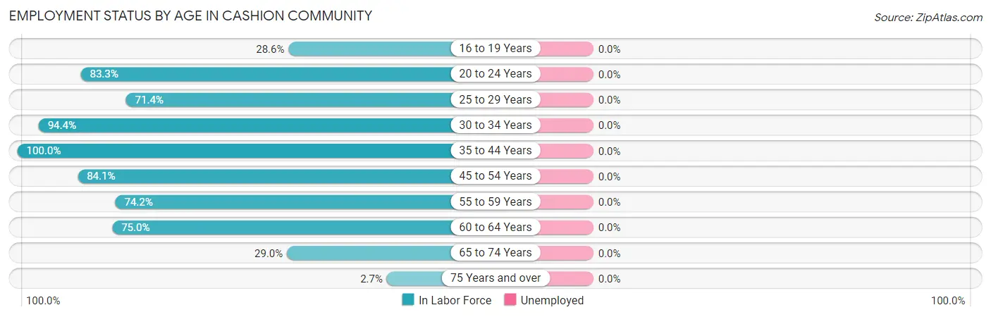 Employment Status by Age in Cashion Community