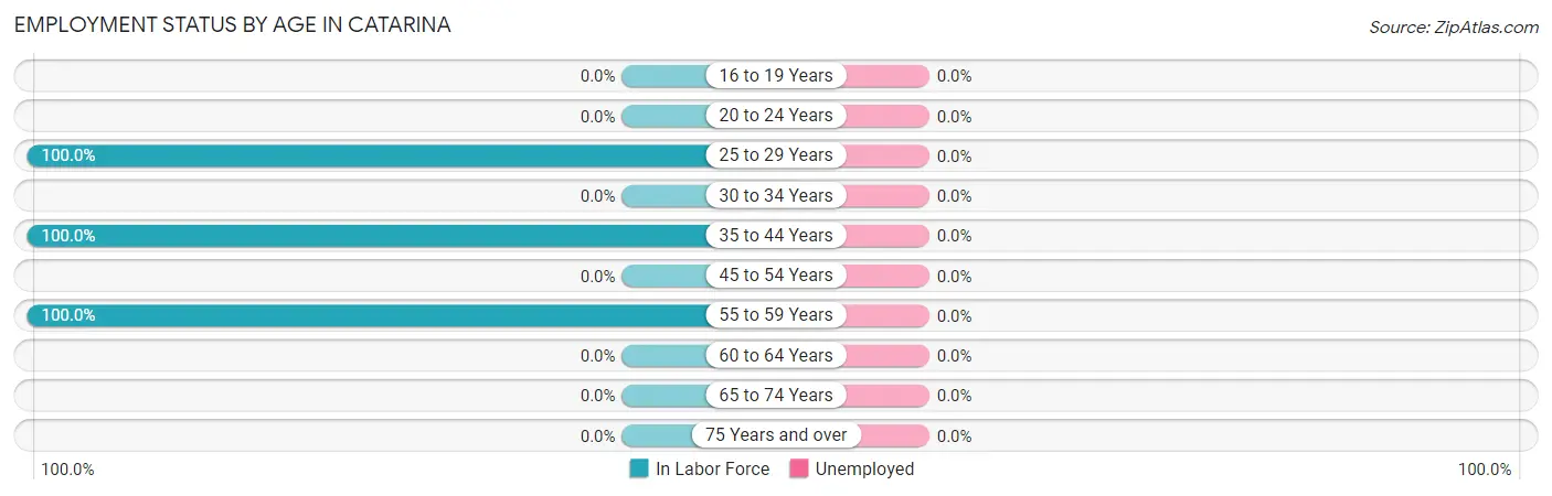 Employment Status by Age in Catarina