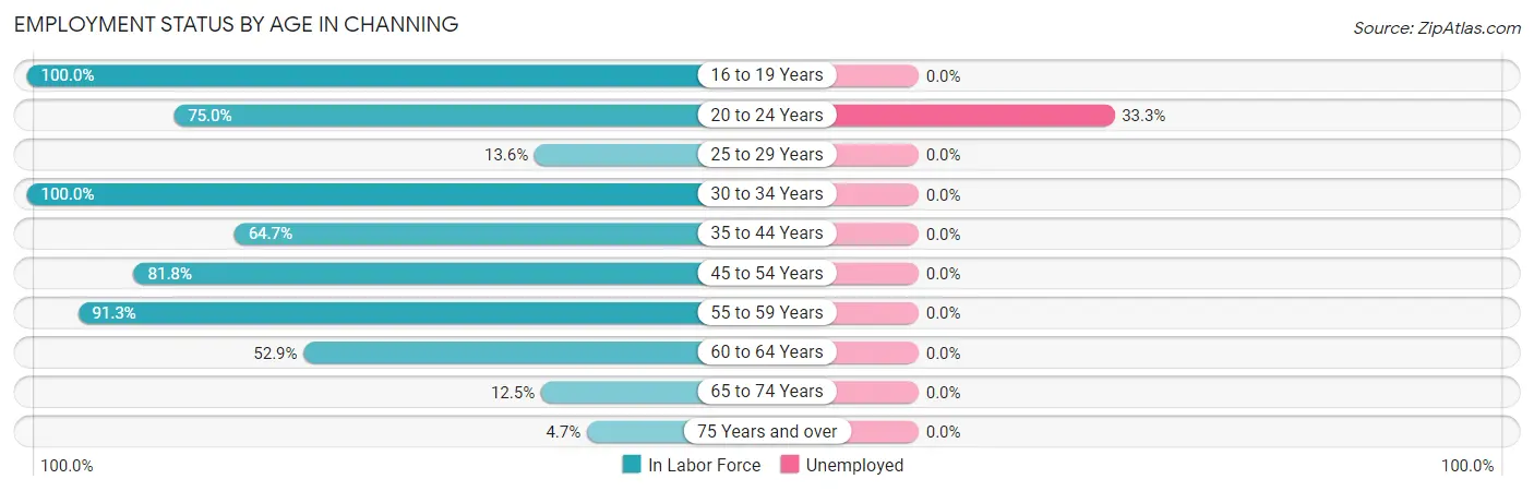Employment Status by Age in Channing