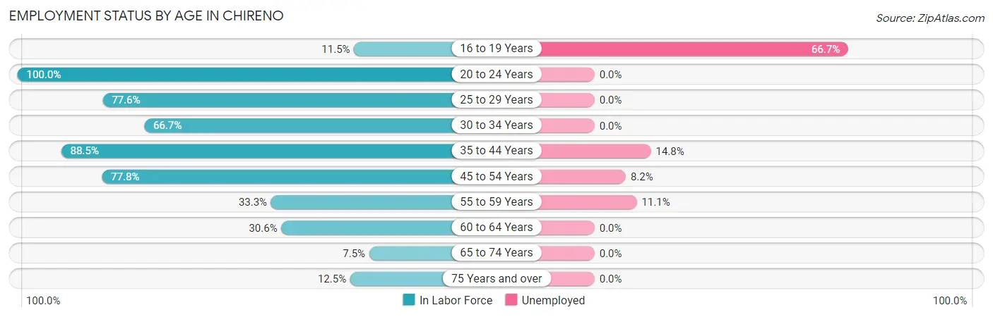 Employment Status by Age in Chireno