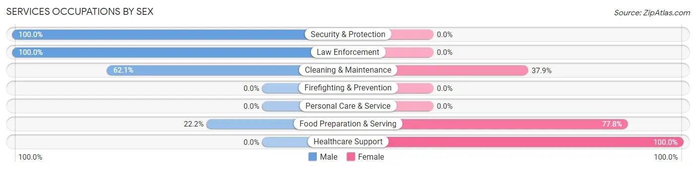 Services Occupations by Sex in Chireno
