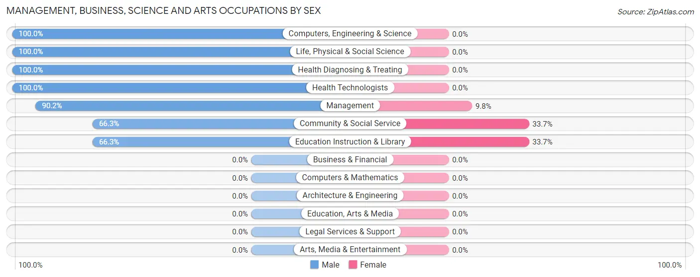 Management, Business, Science and Arts Occupations by Sex in Chula Vista CDP Maverick County
