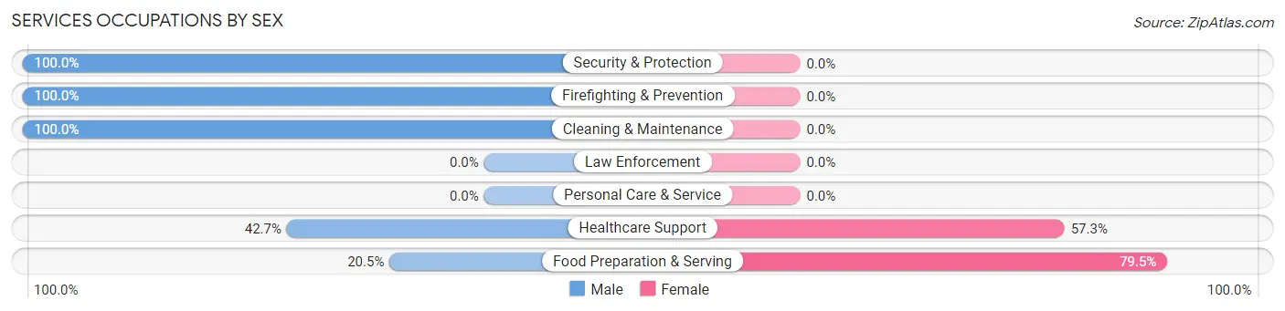 Services Occupations by Sex in Chula Vista CDP Maverick County
