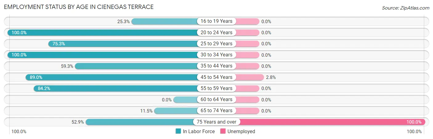 Employment Status by Age in Cienegas Terrace