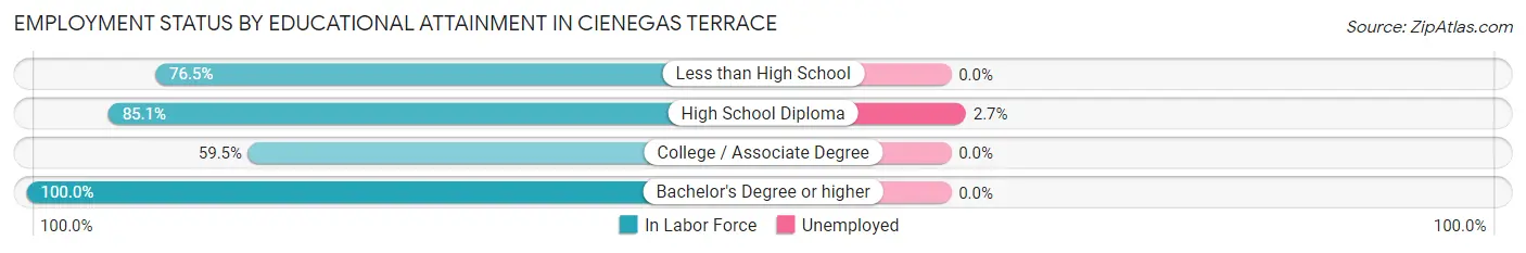 Employment Status by Educational Attainment in Cienegas Terrace