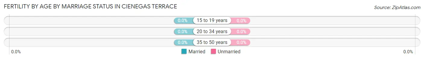 Female Fertility by Age by Marriage Status in Cienegas Terrace