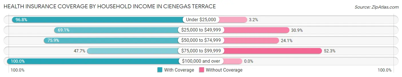 Health Insurance Coverage by Household Income in Cienegas Terrace