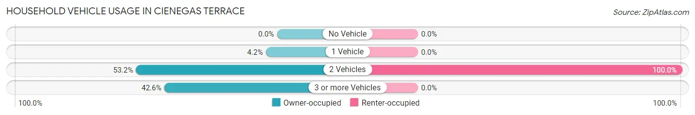 Household Vehicle Usage in Cienegas Terrace