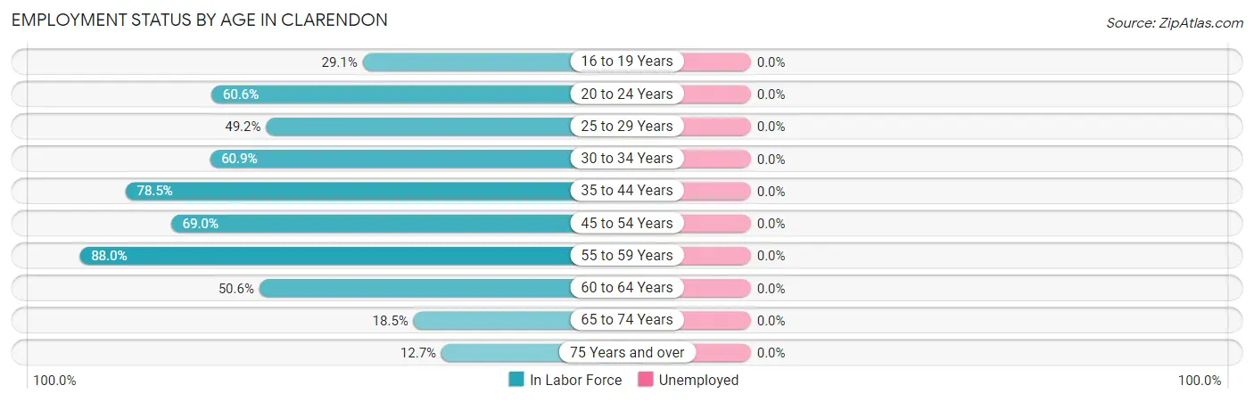 Employment Status by Age in Clarendon