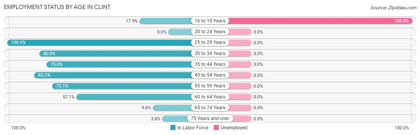 Employment Status by Age in Clint