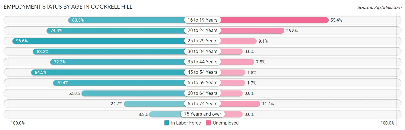 Employment Status by Age in Cockrell Hill
