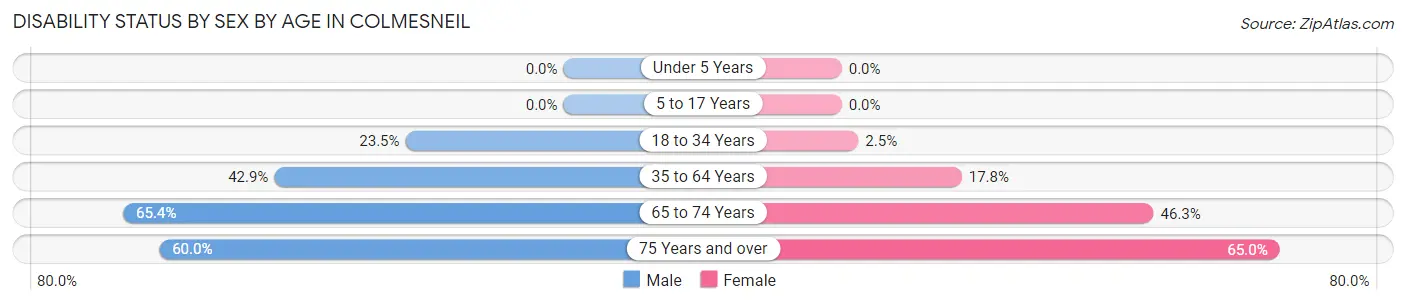 Disability Status by Sex by Age in Colmesneil